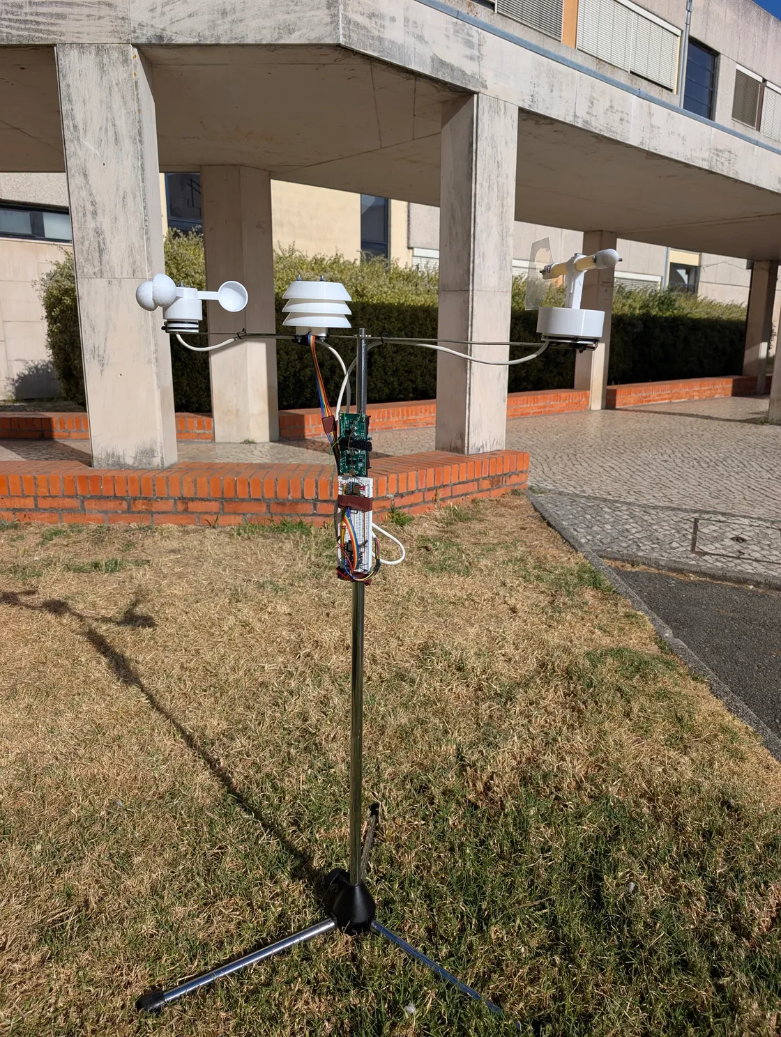 The assembled weather station outdoors, with a cup anemometer, shielded BME280, wind vane, and electronics mounted on a tripod.